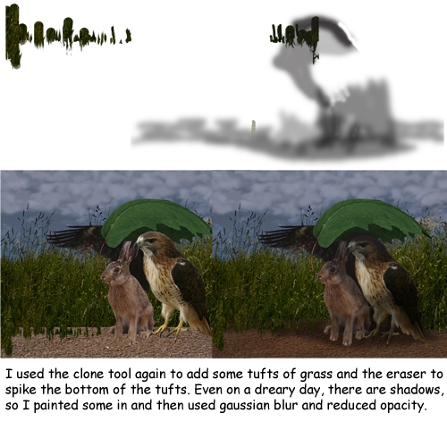 Creation of Truce: Step 9